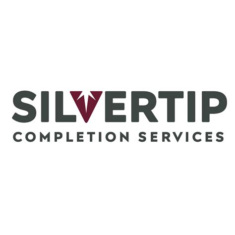 Brandfetch Silvertipcompletion Logos And Brand Assets