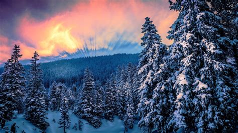 1920x1080 Mountains Trees Sky Forests Twilight Snow Sunsets