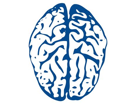 Free Animated Brain Cliparts Download Free Animated Brain Cliparts Png
