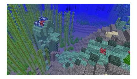 what is a heart of the sea in minecraft