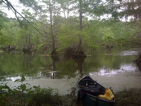 The park offers lake tours, levee tours, and other opportunities for you to view a variety of birds and other wildlife. Chicot State Park, a Louisiana State Park located near ...
