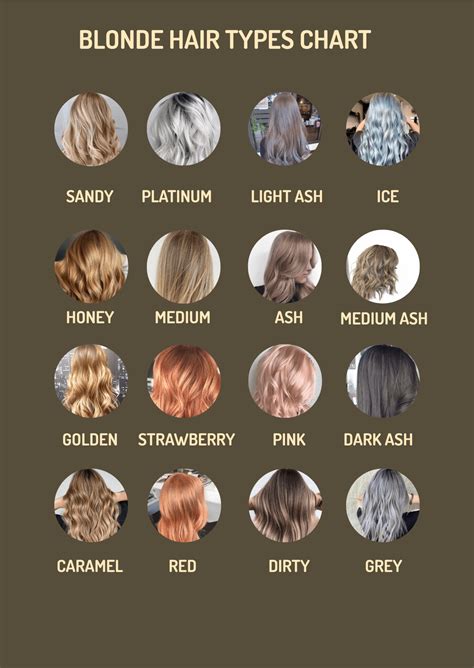 Free Hair Chart Template Download In Word Apple Pages