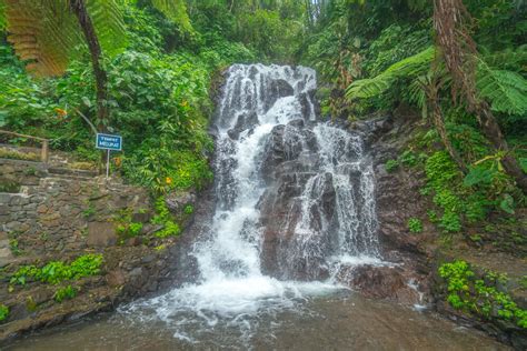 Jembong Waterfall Off The Beaten Track In Bali