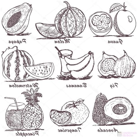 Dibujos De Frutastop Un Delicioso Boceto
