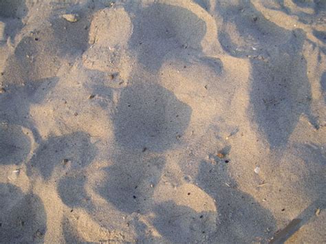 Sand Background Free Stock Photo Public Domain Pictures