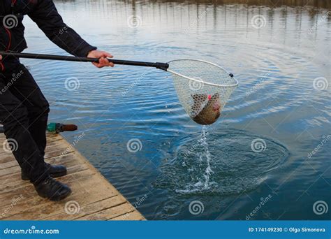 The Fisherman Catches The Fish By Net From The Lake Stock Photo