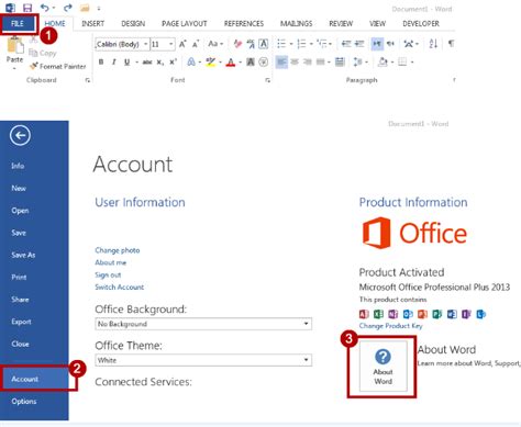 Ms Office Service Pack Download Windows Diary