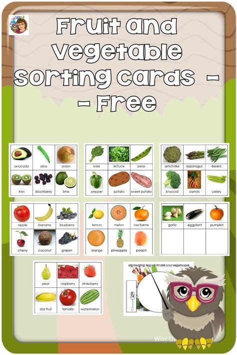 Fruit And Vegetable Sorting Cards Healthy Food Activities For