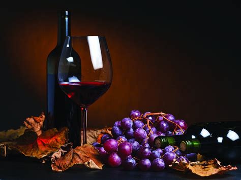 What Is The Best Organic Red Wine Kazzit Us Wineries And International