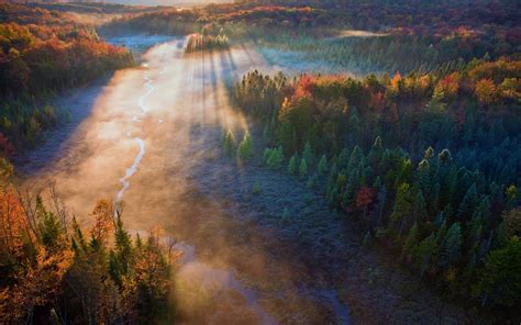 Forest Mist Sunrise Trees Field River Sun Rays Fall Aerial View
