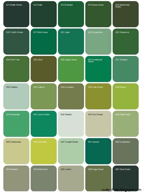 Все оттенки зеленого с названиями в одежде 80 фото