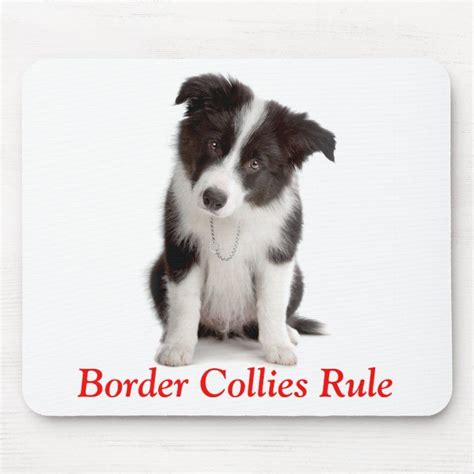 Cute Border Collies Rule Puppy Dog Mousepad Zazzle Collie Puppies