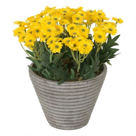 Maybe you would like to learn more about one of these? Mum Potted - Yellow | Artificial flowers, Plants, Garden ...