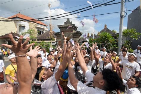 Tradisi Mesuryak Perayaan Kuningan Di Bali Antara Foto