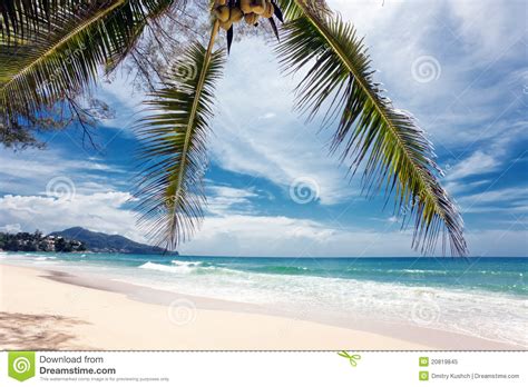 Exotic Tropical Beach Royalty Free Stock Photo Image