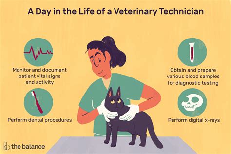 How To Become A Registered Veterinary Technician Gradecontext26