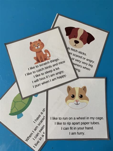 Preschool Pet Activities No Time For Flash Cards