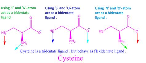 A ligand , in biology, is a molecule that binds to another. Ligands-definition-examples-types in co-ordination ...