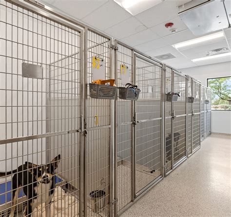 Animal Shelter Building Design | RWE Design Build