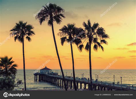 California Beach Sunset Palm Trees Pier Manhattan Beach