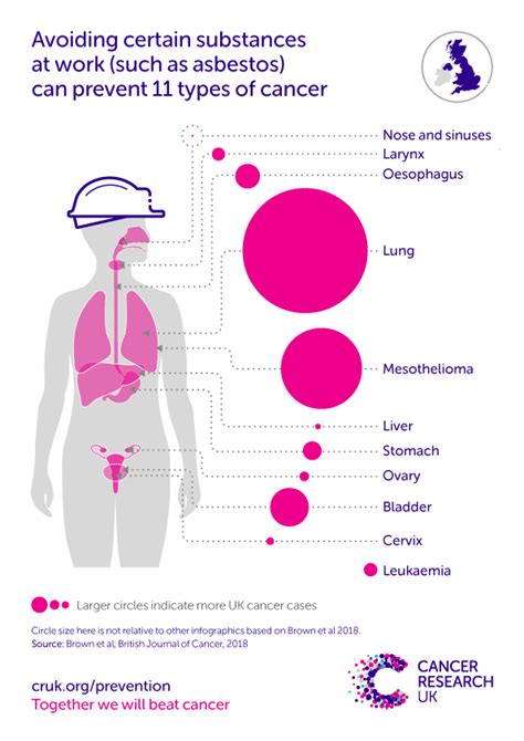 Lung Cancer Risk Cancer Research Uk