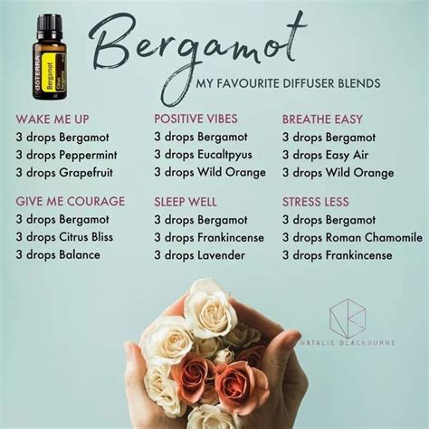 Bergamot Blends Essential Oil Diffuser Blends Recipes Diffuser