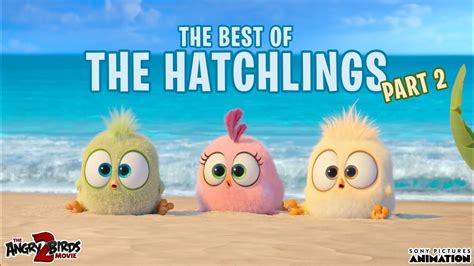 The Angry Birds Movie 2 Best Of The Hatchlings Part 2 Youtube