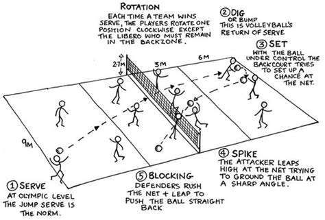 Volleyball Positions Google Search Volleyball Workouts Volleyball