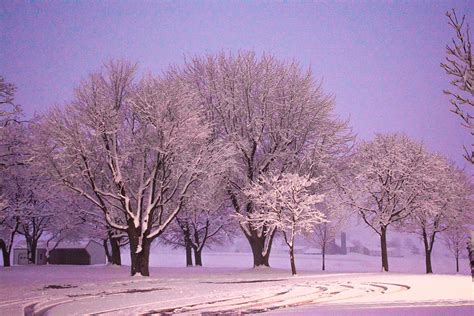 Purple Snowfall Photograph By Krystal Billett Fine Art America