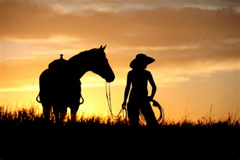 Cowgirl In Den Sonnenuntergang Stockfoto Und Mehr Bilder Von Baum Istock