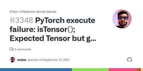 PyTorch Execute Failure IsTensor Expected Tensor But Got