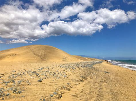 How To Spend The Perfect Day At Maspalomas Beach Gran Canaria London