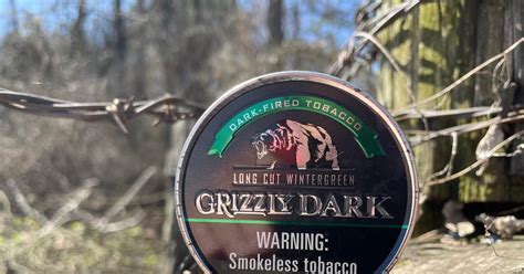 Grizzly Dark Wintergreen Long Cut American Moist Snuffdip Review