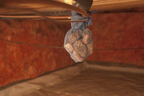 Here's how to get the most out of your stationary mold vents. How to Get Musty Smell Out of a Crawlspace | eHow ...