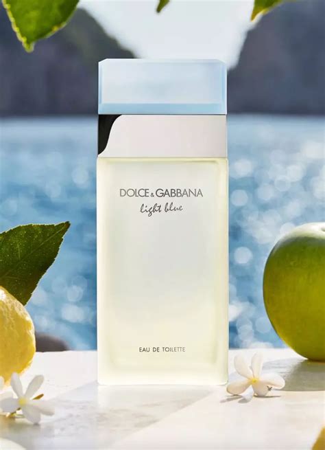 9 Best Dolce And Gabbana Perfumes Ranked And Reviewed