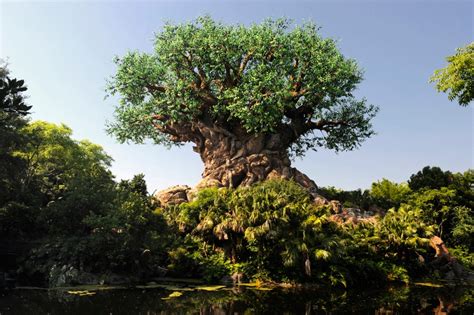 Time Lapse Video Watch The Tree Of Life Grow At Disneys Animal