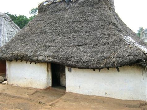The Simple Thatched Roof Of Yelagiri Is An Epitome Of Abundant