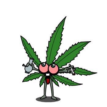 25 Weed Marijuana Animated Gif Images - Best Animations