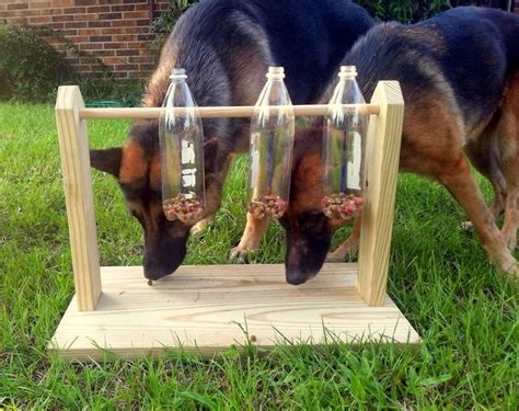 How To Make A Fascinating Spin Out Dog Treat Game The Owner Builder