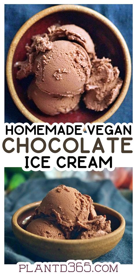 Homemade Vegan Chocolate Ice Cream Ninja Creami Recipe Planted