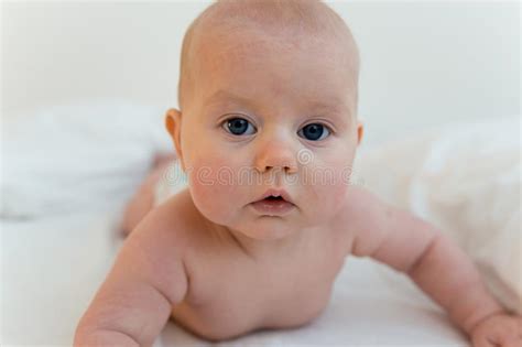 Newborn Infant Baby Stock Photo Image Of Adorable Background 112654706