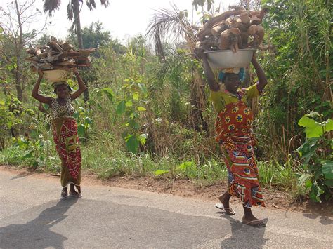 Find what to do today or anytime in august. Agriculture in Ivory Coast - Wikipedia