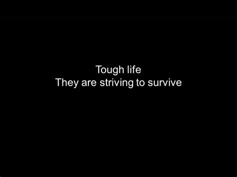 Tough Life Memes Thug Life Meme