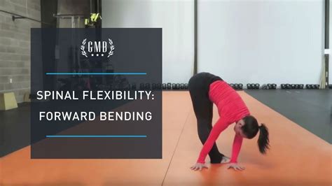 Spinal Flexibility Routine Forward Bending Youtube