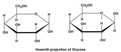 Explain The Haworth Projection Of Glucose