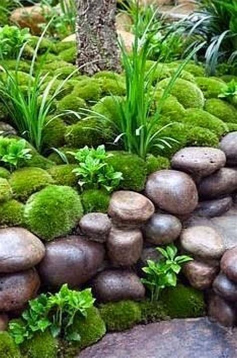 Amazing Modern Rock Garden Ideas For Backyard 59 Moss Garden
