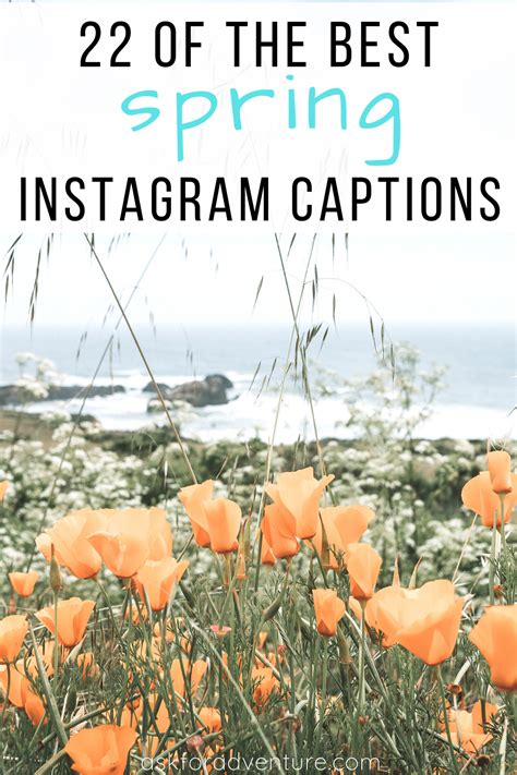 100 Spring Captions For Posting Your Best Instagram Photos Artofit