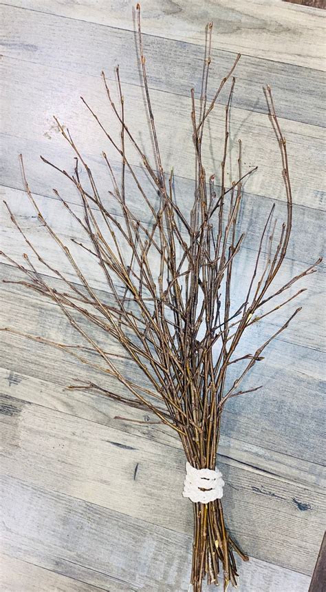 Bundle of real Birch Twig Branches 50 total 21 24 long | Etsy
