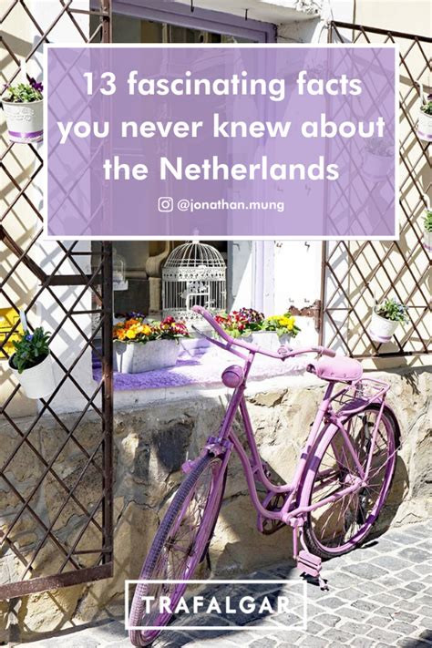 13 fun facts about the netherlands that may surprise you real word in 2020 fun facts