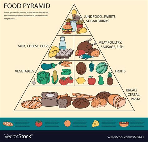Pirâmide Alimentar Em Inglês